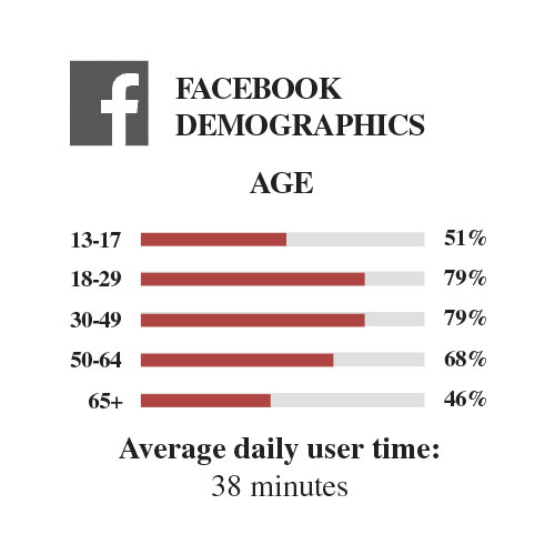 Facebook user demographics