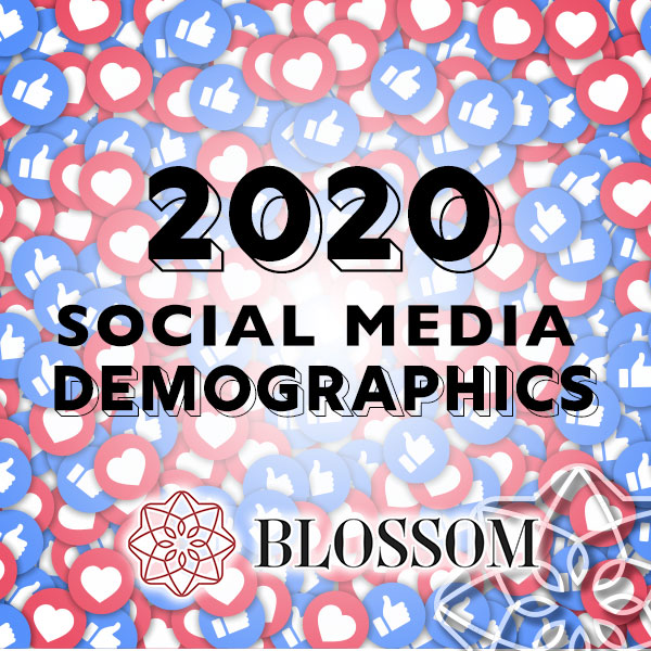 2020 Social Media Demographics