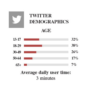 Twitter user demographics