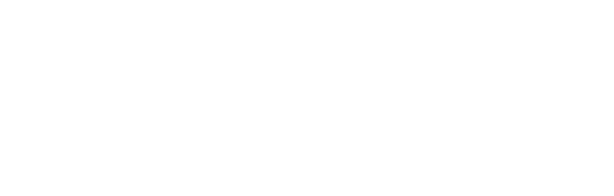 Blossom Digital Marketing